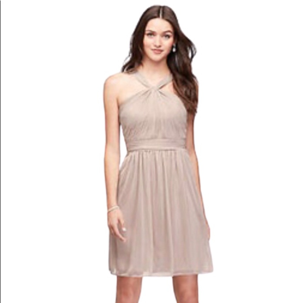 DAVIDS BRIDAL: Biscotti Mesh